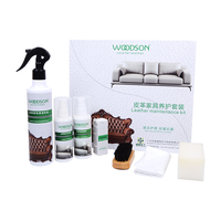 Home Clean Set: Kit d'entretien des meubles avec brosse de lavage et nettoyants forts Nettoyant pour intérieur de tapisserie d'ameublement