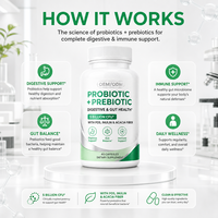 Capsules prébiotiques et probiotiques OEM/ODM, FOS, inuline, fibres d'acacia, 5 milliards d'UFC pour adultes, soutien digestif, intestinal et immunitaire