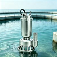 Pompe submersible pour eaux usées en acier inoxydable modèle YL WQ(D)-SA avec sortie filetée, moteur triphasé/monophasé 304/316, garantie 1 an