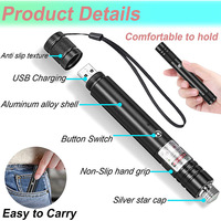 Pointeurs d'extérieur Étoiles laser vertes Jouet pour chat Lampe de poche à charge USB Pointeur laser vert Stylo laser
