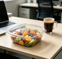 16Oz Huisdier Plastic Scharnierende Deli Container Vierkante Enkele Muur Stijl Voor Het Vervoer Van Fruit En Voedsel