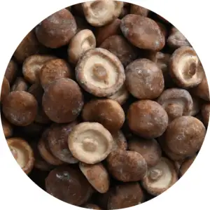Pabrik Makanan Wanda ekspor langsung dari jamur shiitake frozen grosir jamur shiitake IQF SHIITAKE