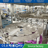 Sokos Energy Drink Fruitverwerkingsmachine, sapvulfabriek, NFC fruitsap productielijn