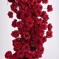 Arche de mariage florale bleue en plastique, détachable et réglable, 220 x 240 cm, pour décoration extérieure