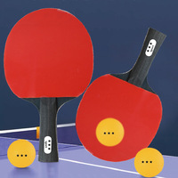 Ensemble familial de raquettes de tennis de table en bois, 2 raquettes avec filet de tennis de table, support de filet portable, raquette de ping-pong