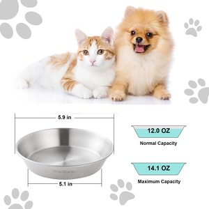 Assiettes à vaisselle pour <span class=keywords><strong>chat</strong></span> antidérapantes peu profondes pour petits chiens chiots bols pour chats bols pour chats en acier inoxydable pour nourriture et eau - Product Image 5
