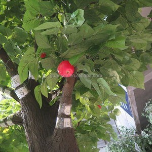 <span class=keywords><strong>ต้น</strong></span><span class=keywords><strong>แอ</strong></span><span class=keywords><strong>ป</strong></span><span class=keywords><strong>เปิ้</strong></span><span class=keywords><strong>ล</strong></span>พลาสติกเหมือนจริง <span class=keywords><strong>ต้น</strong></span><span class=keywords><strong>แอ</strong></span><span class=keywords><strong>ป</strong></span><span class=keywords><strong>เปิ้</strong></span><span class=keywords><strong>ล</strong></span>ประดับตกแต่ง - Product Image 5