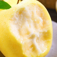 Gouden Delicious Appels Exportkwaliteit Verse Gele Appels Met Premium Verpakking Voor Internationale Kopers