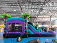 Vente directe : Combo toboggan gonflable géant commercial d'extérieur en PVC, thème palmiers tropicaux, équipement de jeu souple, capacité 250 kg