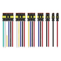 Conector impermeable automotriz AMP, arnés de conector 1P-2P-6P, serie 1,5, cable impermeable, arnés de cables personalizado