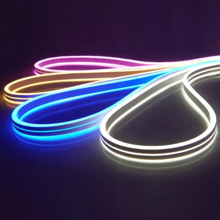 IP65 Strip Neon Flex Rope Light Silicone 110V 220V 24V 12V Color Changing RGB LED Neon Light