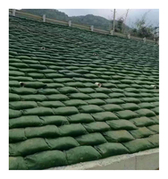 Qianyuan Anti-UV Sac écologique Geobag Sac de sable en tissu pour le contrôle de l'érosion des murs de soutènement Protection des pentes Remblai de berge