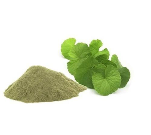 Poudre d'herbes de Gorakhmundi de qualité supérieure, extrait végétal botanique naturel, ingrédient ayurvédique traditionnel pour le bien-être quotidien - Product Image 4
