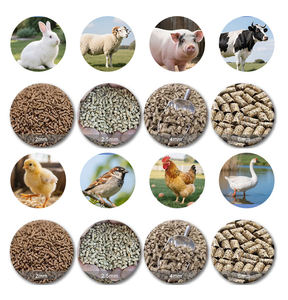 家禽飼料ペレット製造機ミニペレットマシン新しいビジネス機会 - Product Image 4