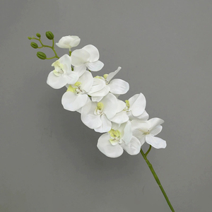 Blanco personalizado para champán rosas artificiales Ramos de decoración de boda para novia y damas de honor para Navidad y Escuela trasera - Product Image 3