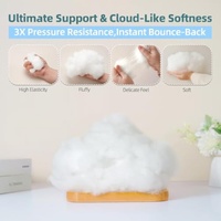 Farce en polyester hypoallergénique de 1lb (500g) pour la fabrication de coussins d'animaux en peluche au crochet
