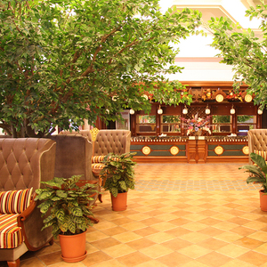 Fabricación de China de plástico de interior Ficus árbol Artificial Banyan árbol para <span class=keywords><strong>el</strong></span> aeropuerto - Product Image 4
