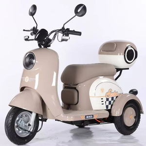 Venta Directa de Fábrica del Último Triciclo <span class=keywords><strong>El</strong></span>éctrico de Carga de 3 Ruedas Personalizable y Moderno con Capacidad de Carga de 100-200 kg para Uso de Pasajeros - Product Image 1