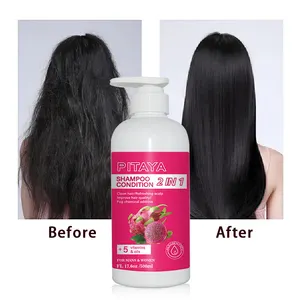 OEM/ODM Drachen frucht Shampoo und Conditioner Private Label Hotel Shampoo und Conditioner 2 in 1 Shampoo und Conditioner