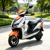 Moto électrique avancée 1000W pour adultes : Plaisir sans effort, écologique