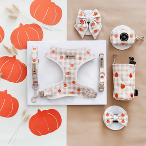 Set Pettorina Elegante Personalizzata per Cani con Ricamo su Misura Pettorina Guinzaglio e Collare Durevole e Regolabile per Cani di Tutte le Razze - Product Image 3