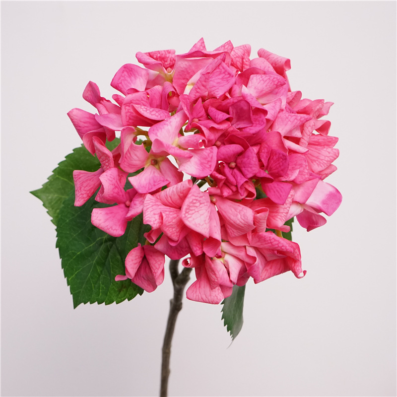 #3 ดอกกุหลาบสีแดง