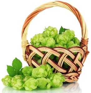 100% натуральный травяной экстракт: порошок цветков хмеля с содержанием ксантогумола 2%, 3%, 5%, 10% – продукт для здоровья, протестировано методом TLC, фасовка в барабанах - Product Image 5