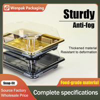 Usine Directement Doré Recyclable  Sushi Plateau Blister Conteneur Alimentaire À Emporter Servir Rectangle Jetable De Luxe