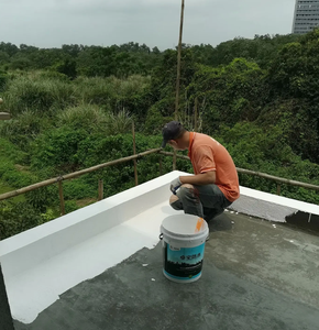 Revestimiento Acrílico Transparente Impermeable con Fórmula Ecológica y Amigable con las Paredes, Revestimiento Premium Duradero para Paredes y Azulejos de Baño - Product Image 5