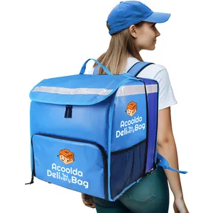 Blue Collapsible Coler Bags Delivery Bag Rack Delivery Bag Backpack Food