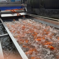Machine à laver les pommes de terre au gingembre frais Yam Manioc Carotte Patate douce Nettoyage Eplucheur Prix