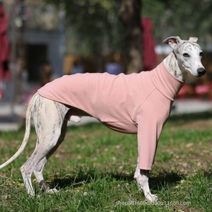 Camiseta de cuello alto de color liso para primavera, en stock, para <span class=keywords><strong>Galgo</strong></span> Italiano y Whippet, ropa informal para mascotas - Product Image 2