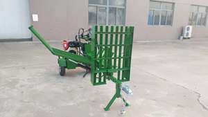 15hp 50 Tấn Xăng Thủy Lực <span class=keywords><strong>Log</strong></span> <span class=keywords><strong>Splitter</strong></span> Bộ Xử Lý Củi Với Thủy Lực <span class=keywords><strong>Log</strong></span> Lifter Và <span class=keywords><strong>Log</strong></span> Deck EPA Đã Được Phê Duyệt - Product Image 6