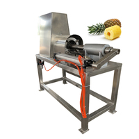 Elektrische ananasboor- en -schiller, fruit schilmachine, multifunctionele ananas schiller en boor