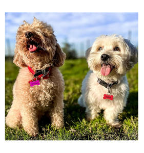 38*25Mm 10 Kleuren Metalen Aluminium Blanco Bot Vorm Hond Id Naam Tag Charm Voor Graveren Hond Kat Telefoonnummer Tag - Product Image 6