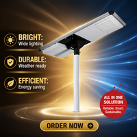 Lampe solaire LED de haute qualité 100W, lumière blanc chaud, IP65, aluminium, certifiée CE, garantie 5 ans, extérieur