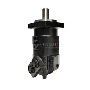 Moteur hydraulique Eaton Char Lynn Série 2000 TC TF TL BMER BK2 BMPW OMSW BMSY BMK2 104-1390-006 OMSY 315cc Certifié ISO9001 - Product Image 2