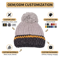 Bonnet en acrylique personnalisé avec logo, bonnet en tricot à pompon, bonnet d'hiver chaud, rayé, jacquard, épaissi, unisexe, à revers