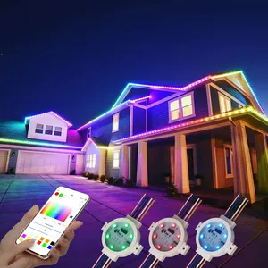 factory price DC 12v 24v ws2811 waterproof addressable smart pixel rgb rgbw permanent outdoor Christmas point lights