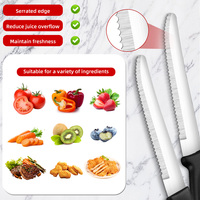 Couteau à steak professionnel en acier inoxydable pour cuisine de restaurant avec logo personnalisé et manche en PP
