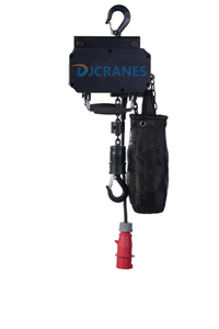 Palans de scène <span class=keywords><strong>électrique</strong></span>s pour treillis, capacité 250 <span class=keywords><strong>kg</strong></span> à 1000 <span class=keywords><strong>kg</strong></span>, <span class=keywords><strong>palan</strong></span> <span class=keywords><strong>électrique</strong></span> à chaîne pour levage de scène, avec chaîne G80 en acier allié 50 forgé - Product Image 2