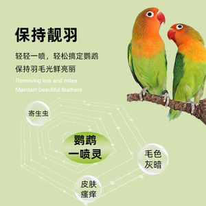 Spray pour perroquets Crown Asia pour l'entretien des plumes et la lutte contre les parasites - Product Image 1