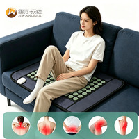 Jiwanlejia Coussin chauffant individuel en jade de qualité moléculaire avec fonction de massage, adapté à diverses applications corporelles