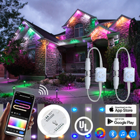 Luz LED de Píxeles a Prueba de Agua IP68 de Nuevo Diseño, Luz Navideña Permanente para Exteriores, UCS2904, 3 LED RGBW, Garantía de 5 Años, Inalámbrica