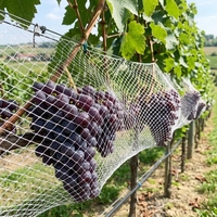 Zwaarwegend landbouwnet wit zwart plantenvijver anti-vogelnet voor fruitboombescherming