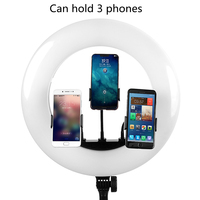 LX-480S professionnel vlogging kit photographie selfie anneau remplir lumière vidéo anneau youtube ensemble avec trépied