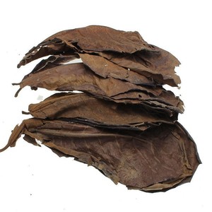 Piante Acquatiche Olive Leaf Betta Lazy Leaf per Acquari, Piccoli Pesci Tropicali, Arowana, <span class=keywords><strong>Tartarughe</strong></span>, Gamberetti - Riduzione pH - Product Image 6