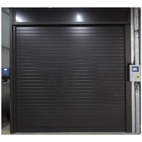 Puerta de Garaje Aislada Antirrobo de Acero Inoxidable, Automática, Eléctrica, con Control Remoto, Seccional, de Diseño Posmoderno para Exteriores
