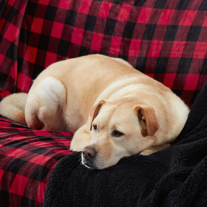 Chăn Lông Cừu Sherpa Dày 2 Lớp Mềm Mại Ấm Cúng In Họa Tiết Kẻ Ca Rô Trâu Đỏ Tùy Chỉnh Cho Mùa Đông - Product Image 4