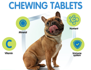 Nutrition calmante pour chiens, soulagement de l'anxiété des chiens pour les visites chez le vétérinaire, les voyages, fabricant super OEM - Product Image 3